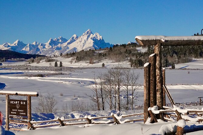 Jackson Hole Full-Day Dog Sledding and Snowmobiling Combo Trip - Tour Details and Inclusions