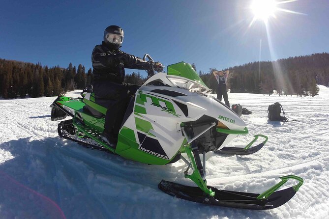 Jackson Hole Full-Day Dog Sledding and Snowmobiling Combo Trip - Pricing and Cancellation Policy