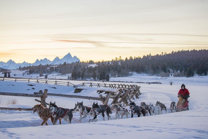 Jackson Hole Full-Day Dog Sledding and Snowmobiling Combo Trip - Reviews and Feedback