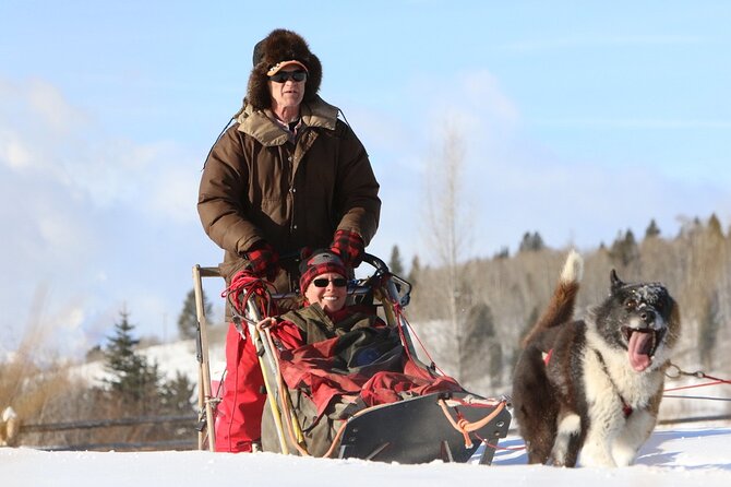 Jackson Hole Full-Day Dog Sledding and Snowmobiling Combo Trip - Snowmobiling Adventure