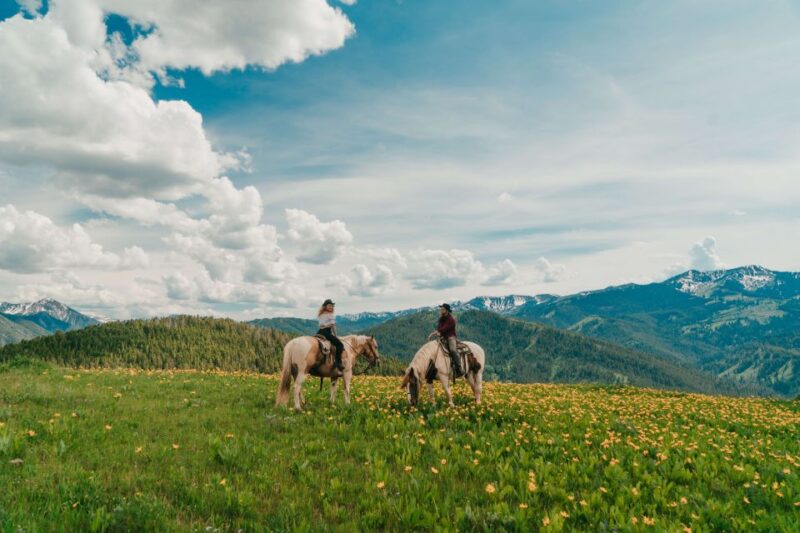 Jackson Hole: Moose Meadow Horseback Tour With Breakfast - Key Points