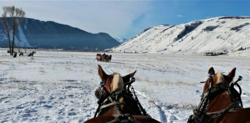 Jackson Hole: National Elk Refuge Sleigh Ride - Key Points