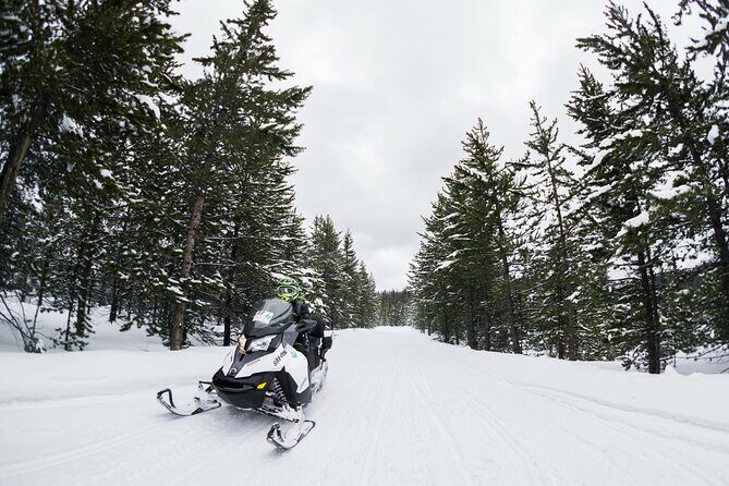 Jackson Hole Self Guided Snowmobile Rentals - Key Points