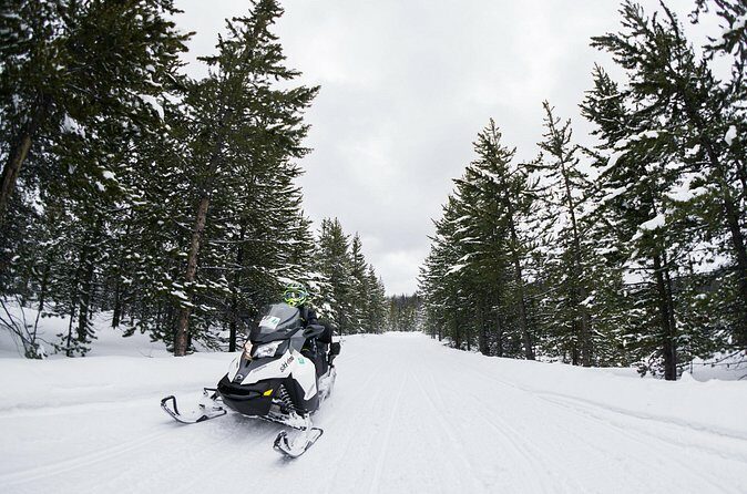Jackson Hole Self Guided Snowmobile Rentals - The Sum Up: Who Is This Tour Best For?