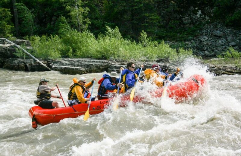 Jackson Hole: Snake River Whitewater Rafting Tour - Adrenaline-Fueled Adventure