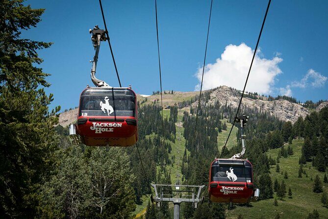 Jackson Hole Summer Aerial Tram Sightseeing - The Experience: What to Expect