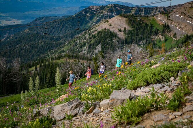 Jackson Hole Summer Aerial Tram Sightseeing - FAQs About Jackson Hole Summer Aerial Tram Sightseeing