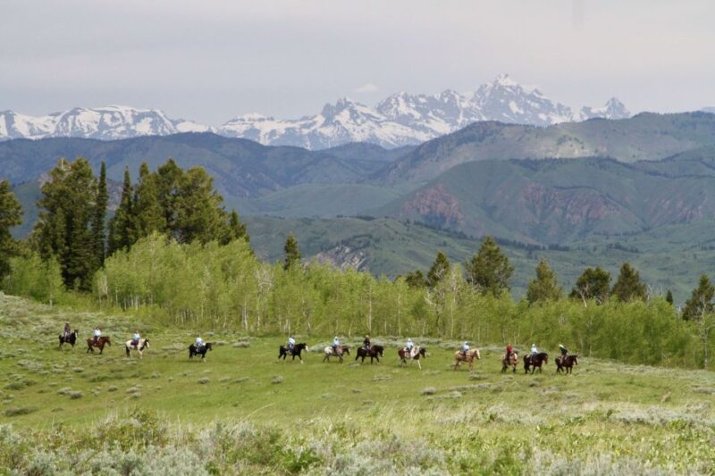 Jackson Hole: Teton View Guided Horseback Ride With Lunch - Participant Requirements