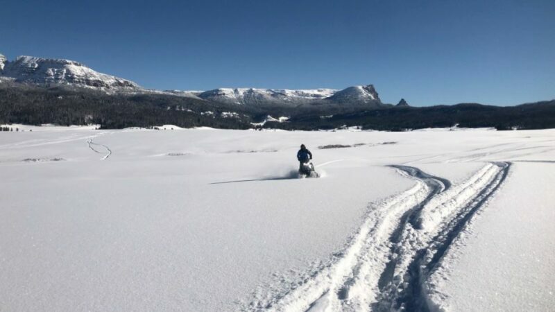 Jackson Hole: Turpin Meadow Snowmobile Tour - Why This Tour Offers Good Value