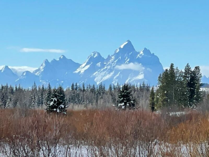 Jackson Hole: Turpin Meadow Snowmobile Tour - The Sum Up