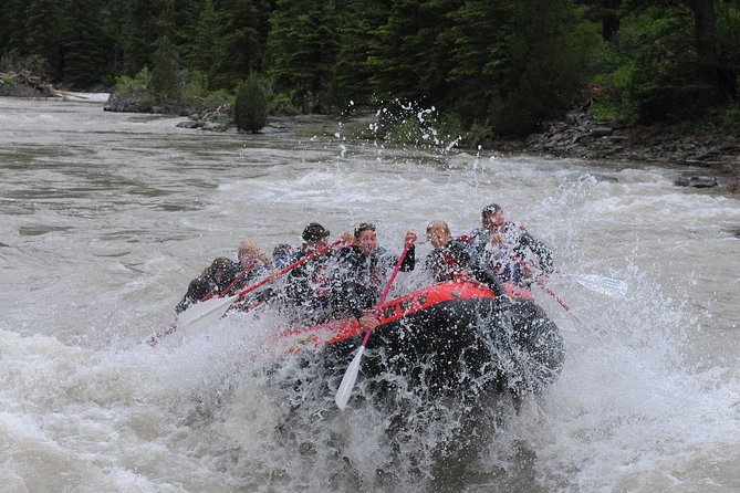 Jackson Hole Whitewater Rafting Classic From Jackson Hole,Wyoming - Reviews and Recommendations