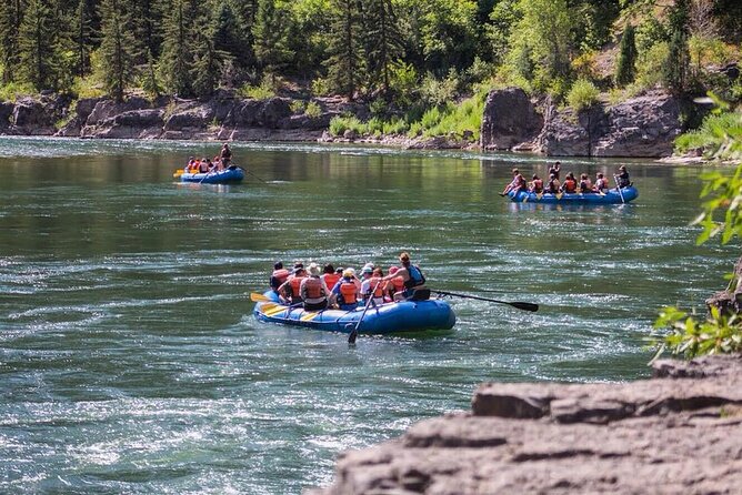 Jackson Hole Whitewater Rafting Small Boat - Suitability for Families and First-Time Rafters