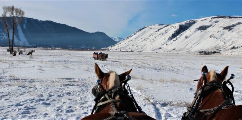 Jackson: National Elk Refuge Sleigh Ride - Key Points
