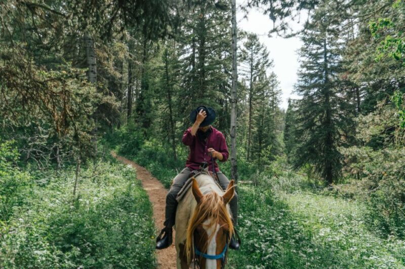 Jackson Signature 1/2 Day Ride Horseback Tour With Lunch - Meeting Point and Directions
