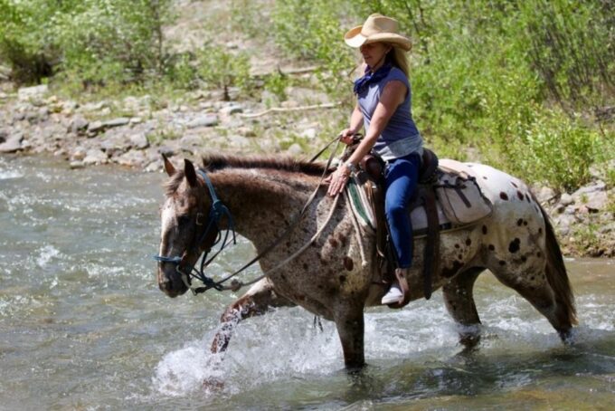 Jackson Signature 1/2 Day Ride Horseback Tour With Lunch - Frequently Asked Questions
