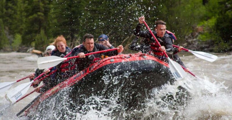 Jackson: Snake River Class 2-3 Whitewater Rafting Adventure - Itinerary and Duration