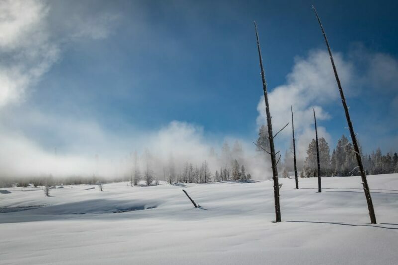Jackson: Yellowstone Snowcoach Tour to Old Faithful - What Real Travelers Say