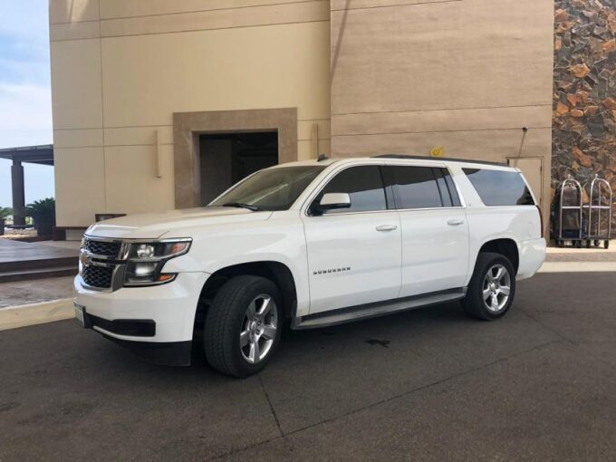 Jacksonville Airport (JAX): Transfer to Carnival Cruise Port - Meeting Assistance and Luggage