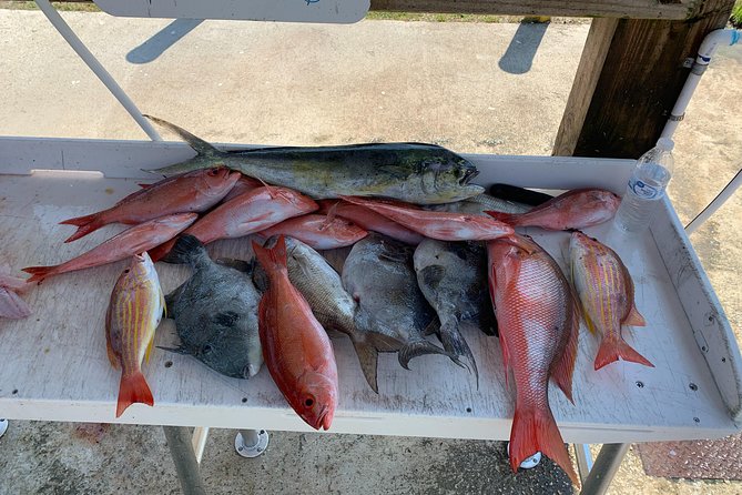 Jacksonville Fishing Charter-23 - Fishing Techniques