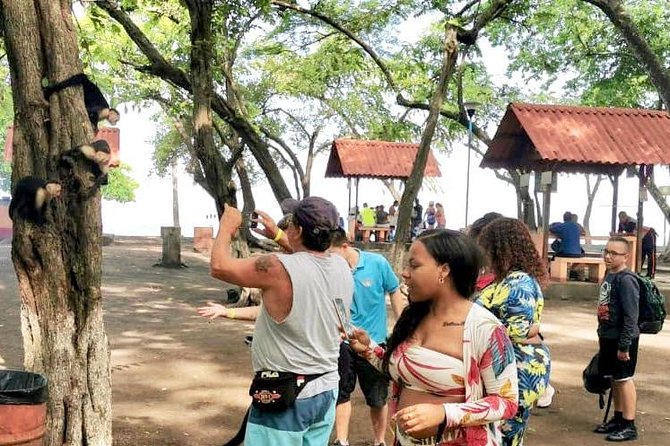 Jaco Highlights Tour - Tour Features and Inclusions