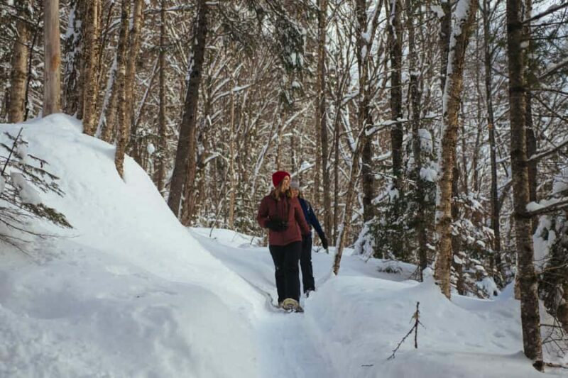 Jacques-Cartier: National Park Entry Ticket & Snowshoeing - An In-Depth Look at the Experience