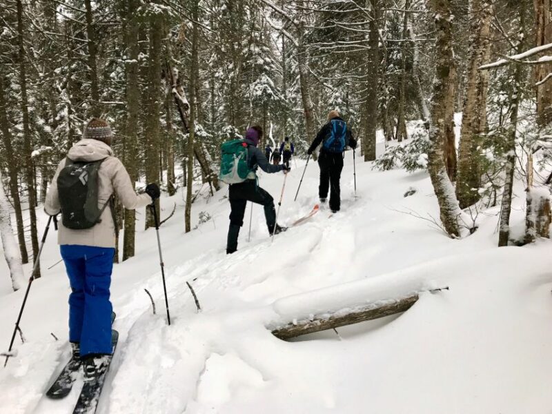 Jacques-Cartier National Park: Skiing Excursion - Important Considerations