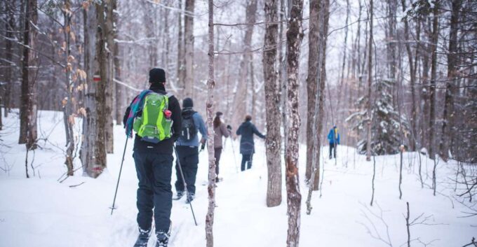 Jacques-Cartier National Park: Skiing Excursion - Suitability