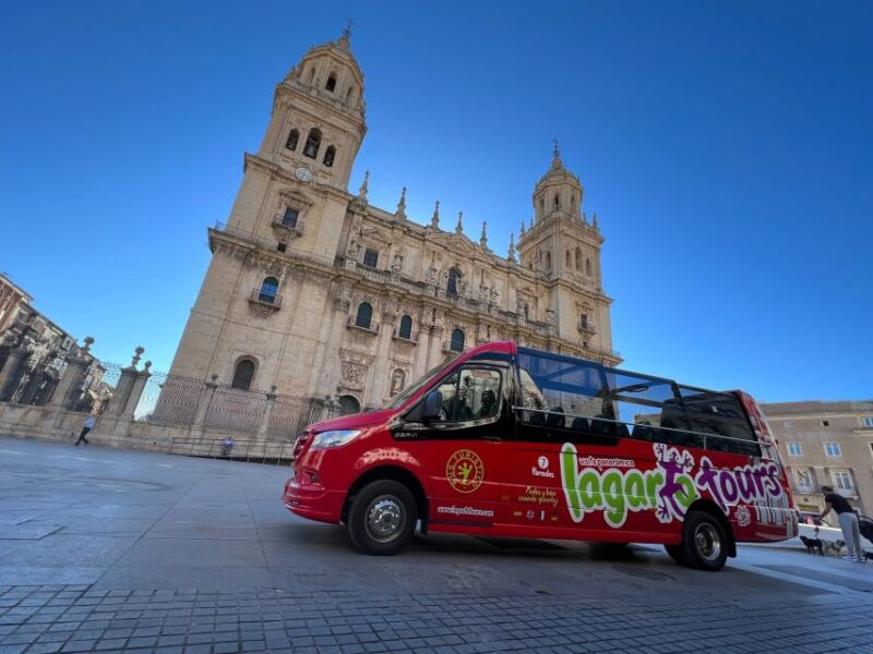 Jaén: Hop-On / Off Sightseeing Bus Tour + Olive Oil Tasting - Key Points