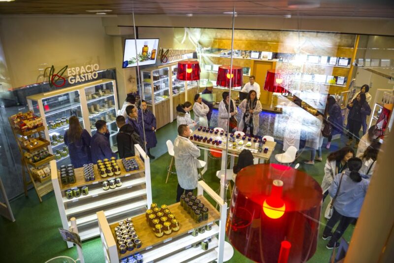 Jaén: Olive Mill Tour and Olive Oil Tasting Experience - Guided Tour of the Mill