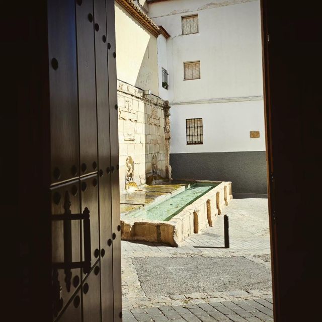 Jaén: Tour, Cathedral, Arch San Lorenzo and Jewish Quarter - Cathedral Guided Tour