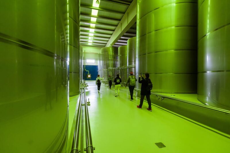 Jaén: Unforgettable Visit to the Olive Mill + EVOO Tasting - Key Points
