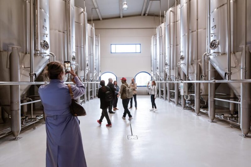 Jaén: Unforgettable Visit to the Olive Mill + EVOO Tasting - Experience Highlights