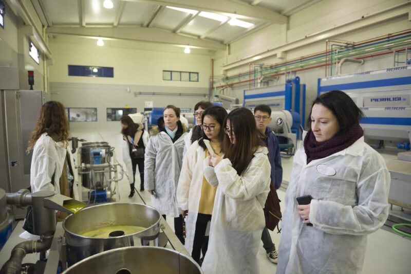 Jaén: Unforgettable Visit to the Olive Mill + EVOO Tasting - Innovations in the Olive Oil Industry