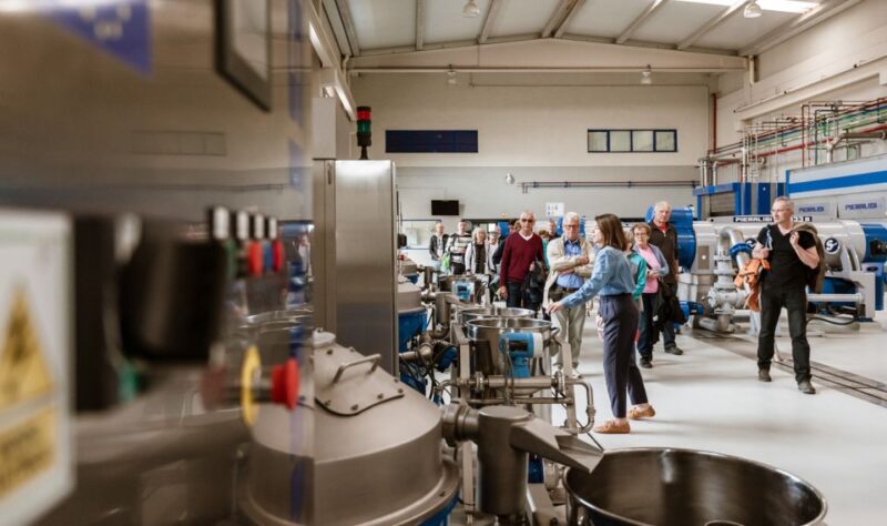 Jaén: Unforgettable Visit to the Olive Mill + EVOO Tasting - Key Points