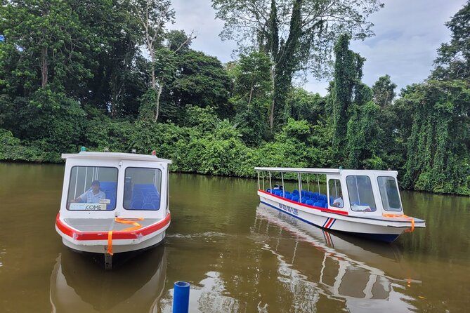 Jaguar Rescue Center & Tortuguero Canal - Learning About Costa Rican Coffee