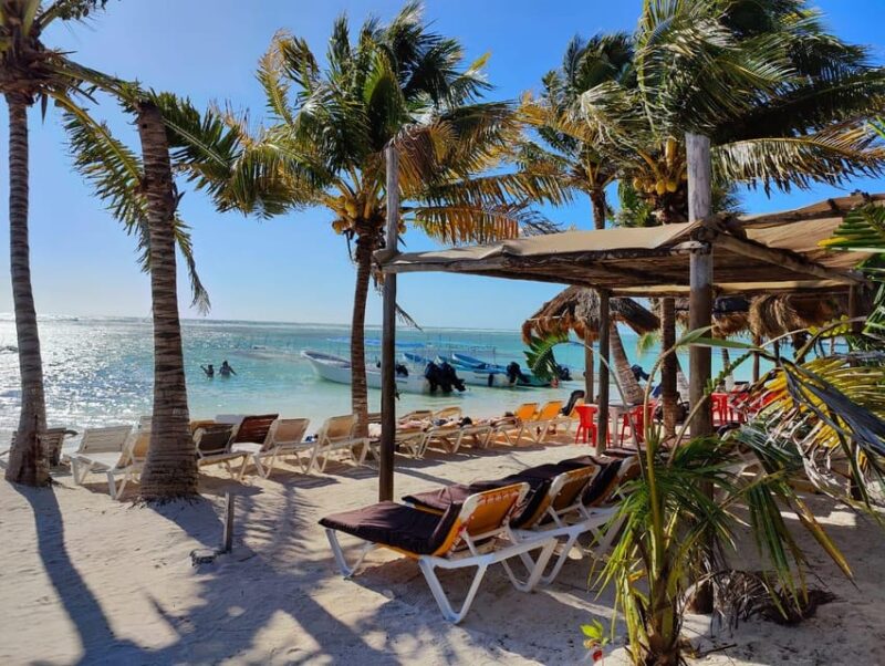 Jaimes at the Blue Reef All You Can Eat,Drinks +Snorkel Boat - Key Points