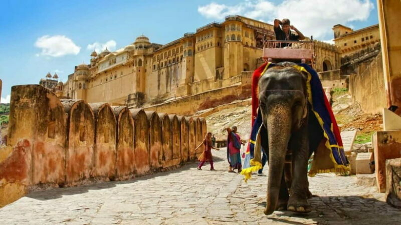 Jaipur: Amber Fort, Stepwell & Jal Mahal with Pickup - What to Expect from the Jaipur Tour