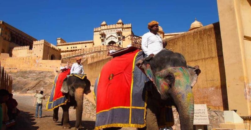 Jaipur Amber Fort With Gems and Jewelry Guided Tour - Amber Fort Experience