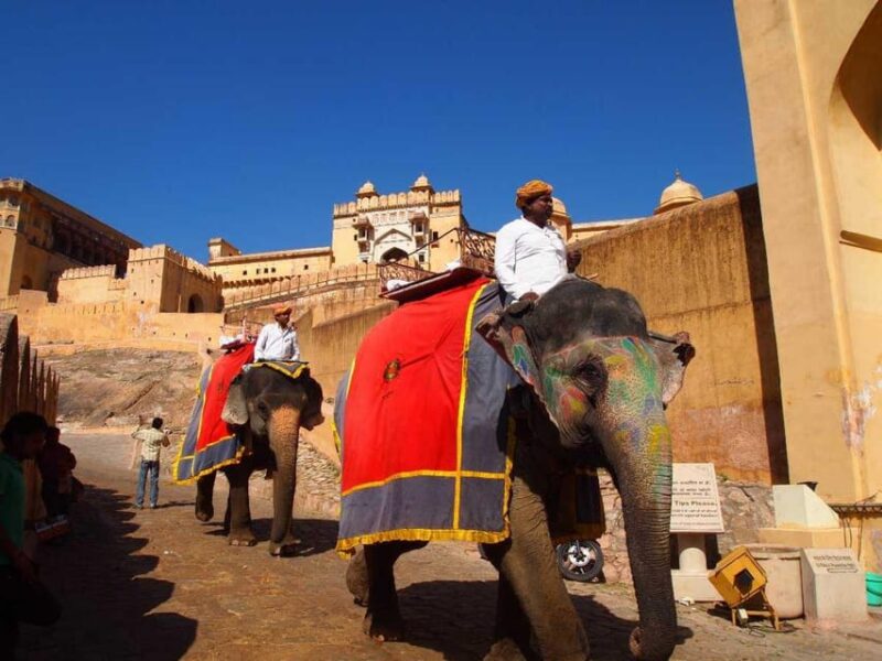 Jaipur Amber Fort With Gems and Jewelry Guided Tour - Cultural Show and Dining