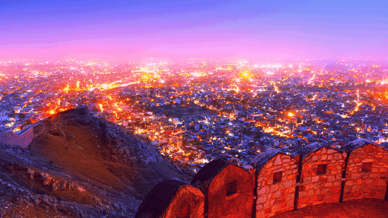 Jaipur Amer Fort, Jal Mahal & Stepwell Private Half-Day Tour - Key Points