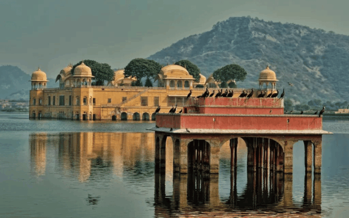 Jaipur City Tour Explore the Pink City Include Guide & Meals - Jantar Mantar and Albert Hall Museum