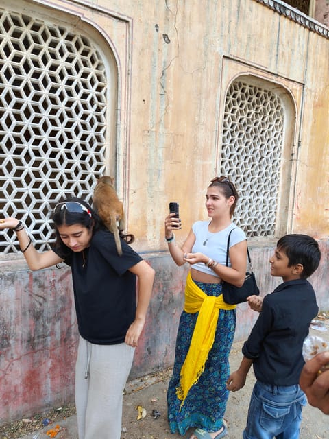 Jaipur City Tour With Monkey Temple by Ac Vehicle - Tour Highlights