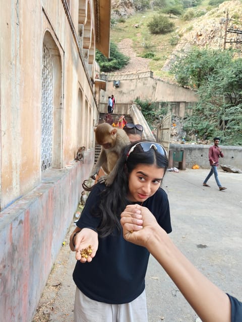 Jaipur City Tour With Monkey Temple by Ac Vehicle - Amber Fort