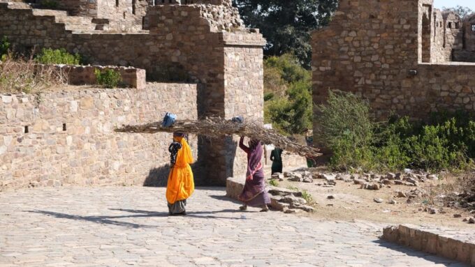 Jaipur: Deepest Step Well in India & Haunted Fort Day Trip - Exploring Chand Baori