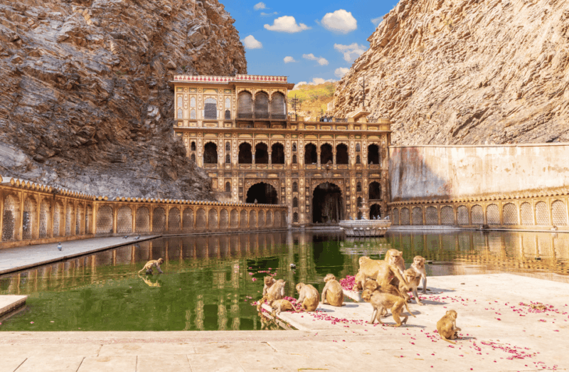 Jaipur: Full Day Jaipur Tour With Galtaji Temple - Key Attractions