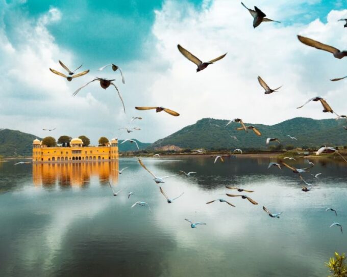 Jaipur: Full Day Private Sightseeing Tour With Cab & Guide - Customization Possibilities
