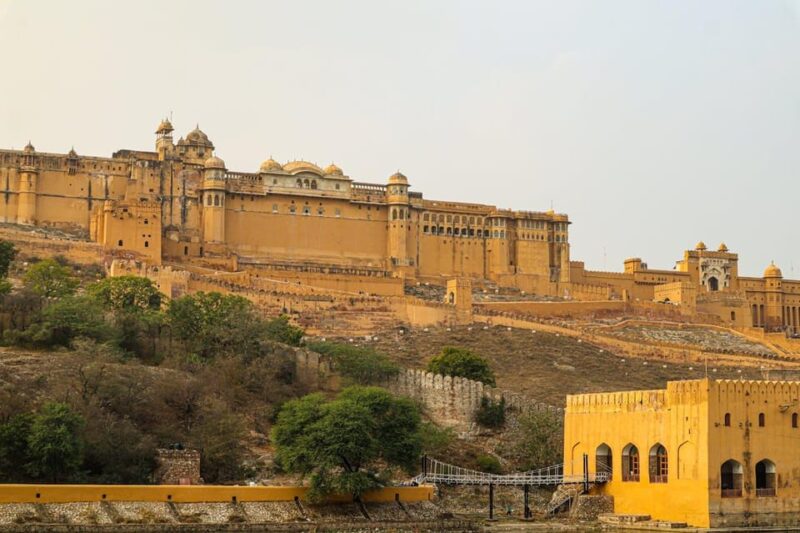 Jaipur Half-Day Tour to Amer Fort, Jal Mahal & Stepwell - Panna Meena Ka Kund