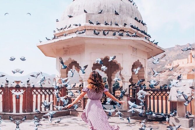 Jaipur Instagram Photography Tour With Monkey Temple Sunset View - Reviews