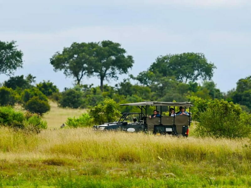 Jaipur: Jhalana Amagarh Leopard Reserve 4×4 Jeep Safari - Key Points