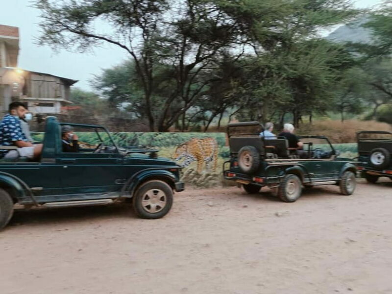 Jaipur: Jhalana Amagarh Leopard Reserve 4×4 Jeep Safari - Who Should Consider This Tour?